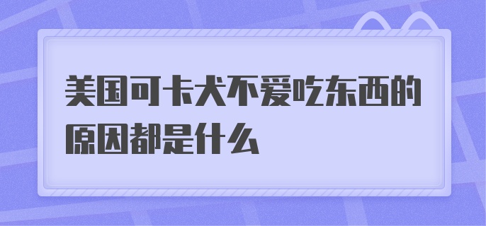 美国可卡犬不爱吃东西的原因都是什么