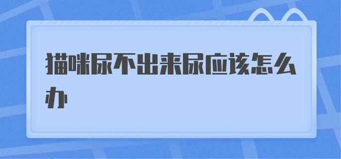 猫咪尿不出来尿应该怎么办