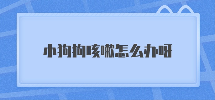 小狗狗咳嗽怎么办呀