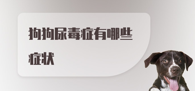 狗狗尿毒症有哪些症状