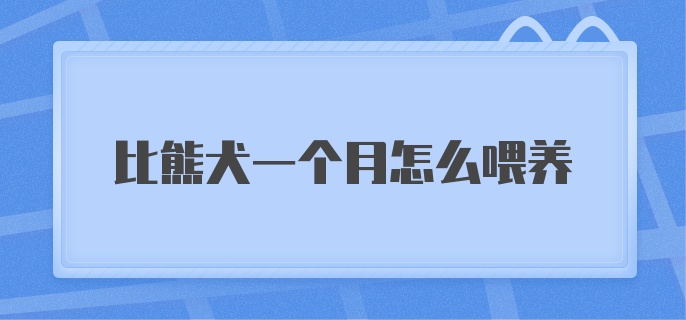 比熊犬一个月怎么喂养