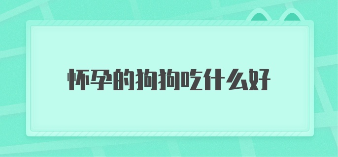 怀孕的狗狗吃什么好