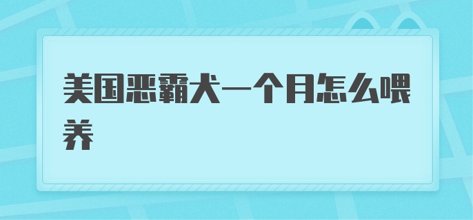 美国恶霸犬一个月怎么喂养