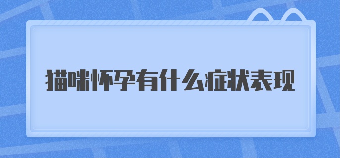 猫咪怀孕有什么症状表现