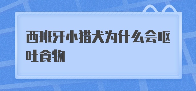 西班牙小猎犬为什么会呕吐食物