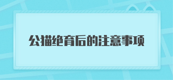 公猫绝育后的注意事项