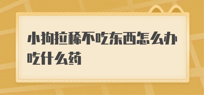 小狗拉稀不吃东西怎么办吃什么药