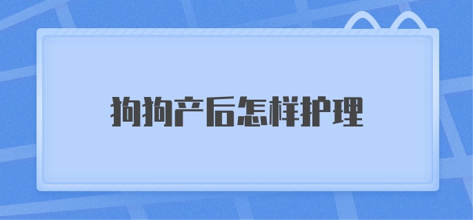 狗狗产后怎样护理