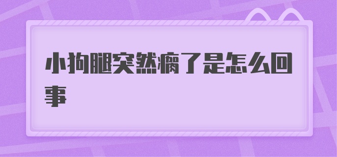 小狗腿突然瘸了是怎么回事