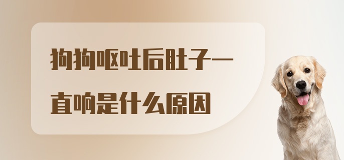 狗狗呕吐后肚子一直响是什么原因