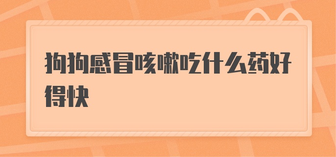 狗狗感冒咳嗽吃什么药好得快点