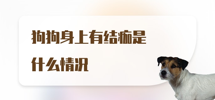 狗狗身上有结痂是什么情况