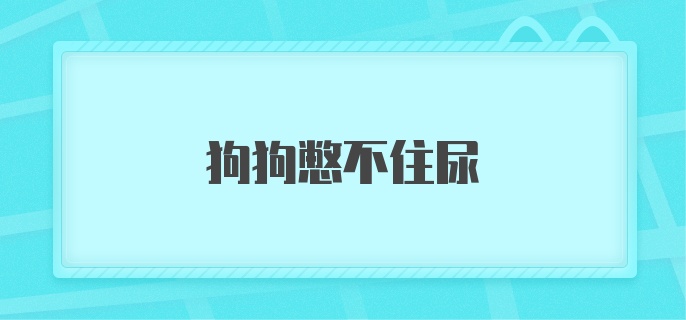 狗狗憋不住尿