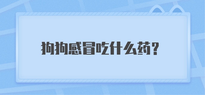 狗狗感冒吃什么药？