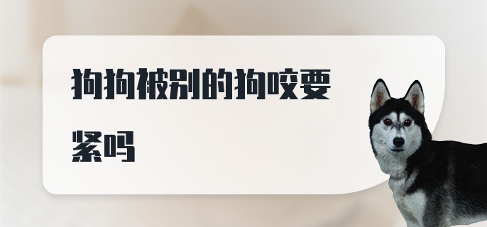 狗狗被别的狗咬要紧吗