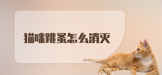 猫咪跳蚤怎么消灭