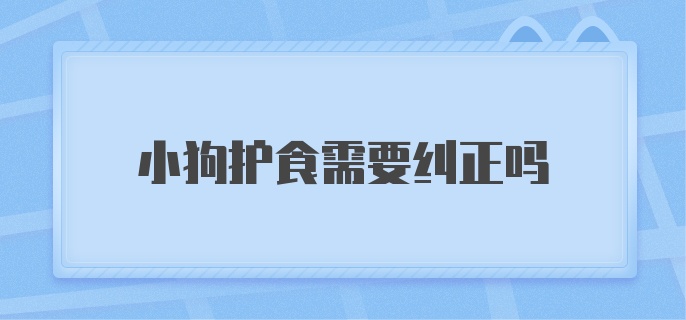 小狗护食需要纠正吗