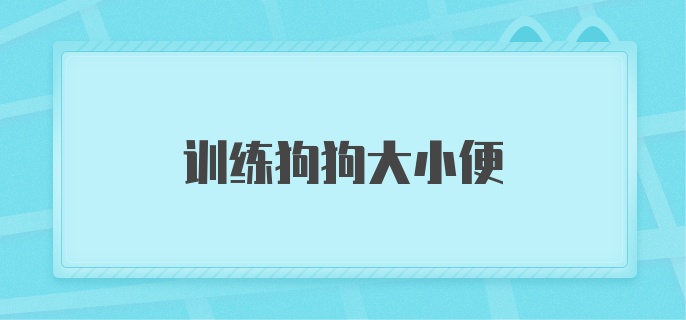 训练狗狗大小便