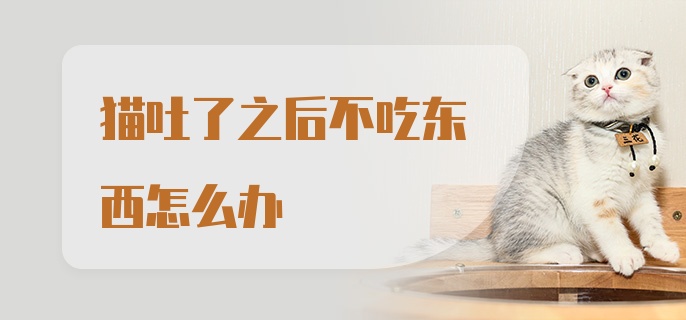 猫吐了之后不吃东西怎么办