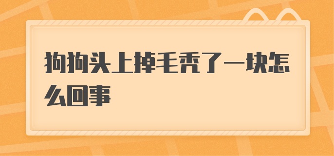 狗狗头上掉毛秃了一块怎么回事