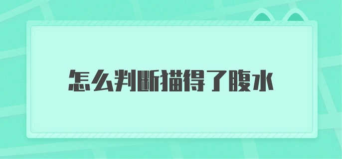 怎么判断猫得了腹水