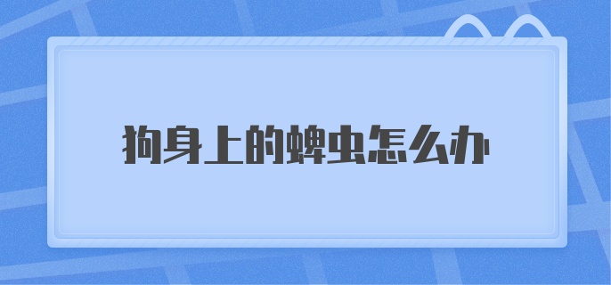 狗身上的蜱虫怎么办