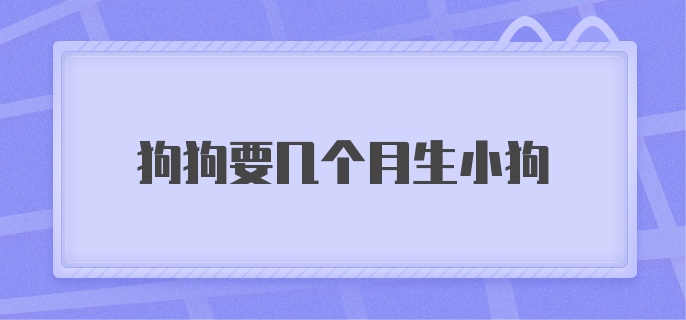 狗狗要几个月生小狗