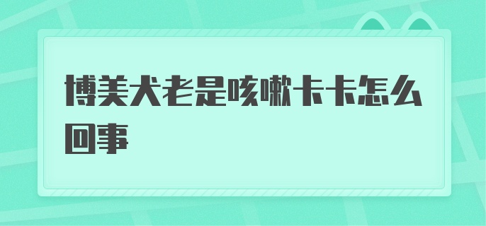 博美犬老是咳嗽卡卡怎么回事