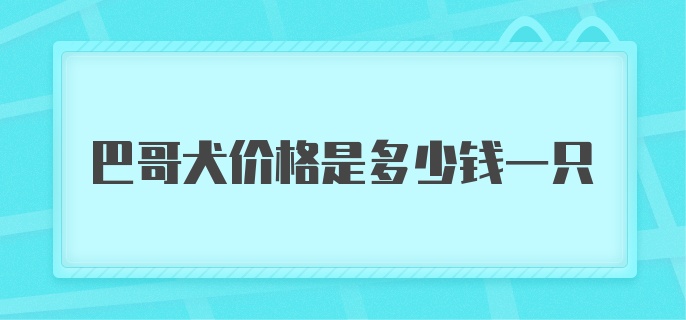 巴哥犬价格是多少钱一只