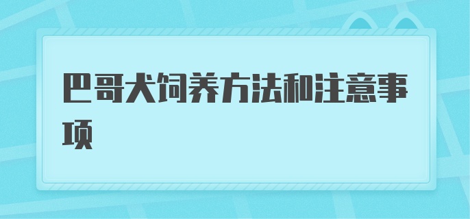 巴哥犬饲养方法和注意事项