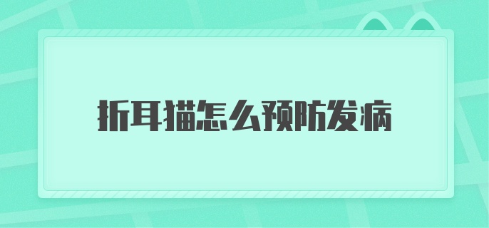 折耳猫怎么预防发病