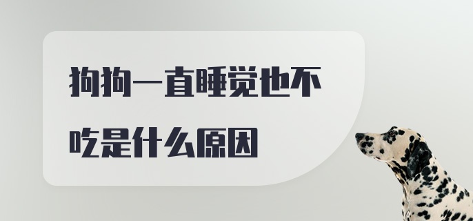 狗狗一直睡觉也不吃是什么原因