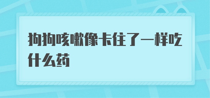 狗狗咳嗽像卡住了一样吃什么药