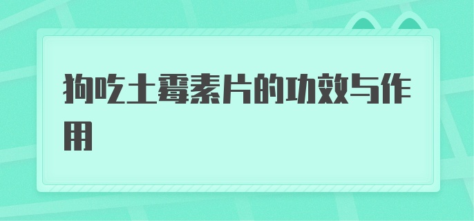 狗吃土霉素片的功效与作用