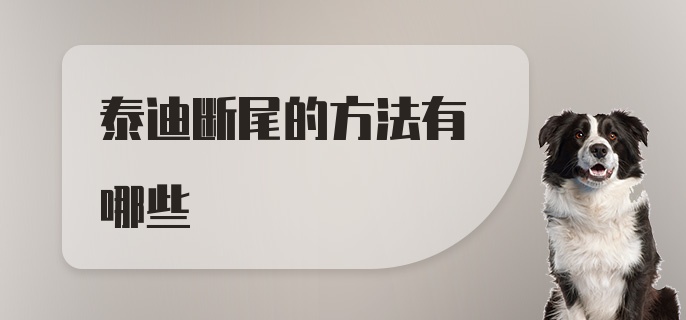 泰迪断尾的方法有哪些