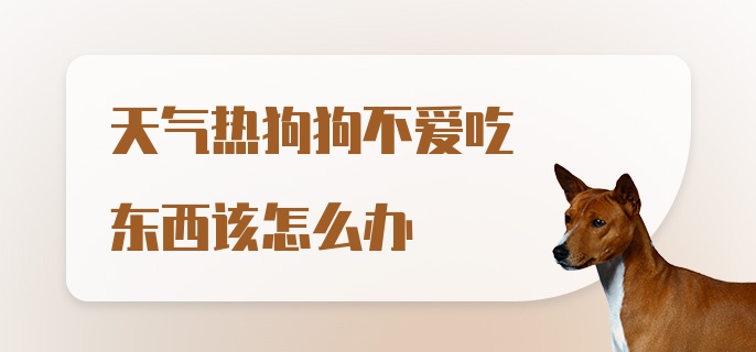 天气热狗狗不爱吃东西该怎么办