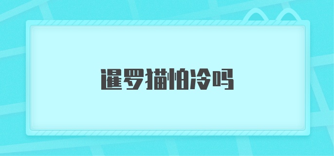 暹罗猫怕冷吗