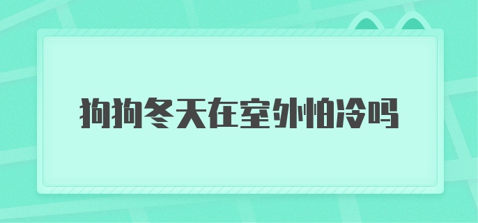 狗狗冬天在室外怕冷吗