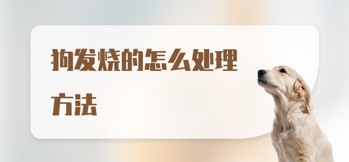 狗发烧的怎么处理方法