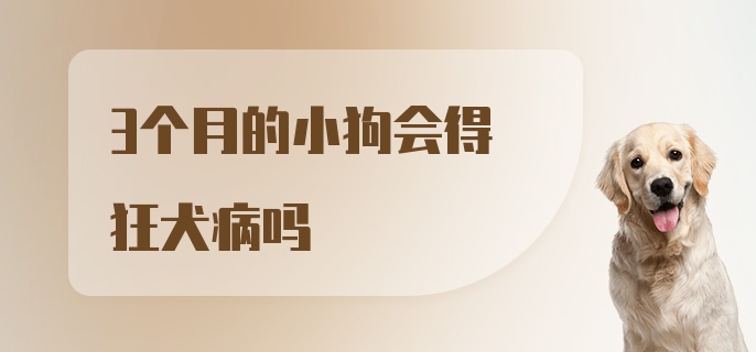 3个月的小狗会得狂犬病吗