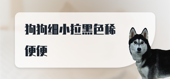 狗狗细小拉黑色稀便便