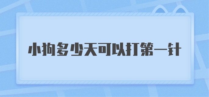 小狗多少天可以打第一针