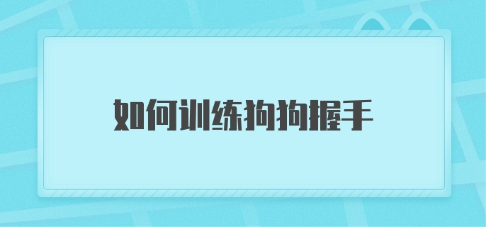 如何训练狗狗握手