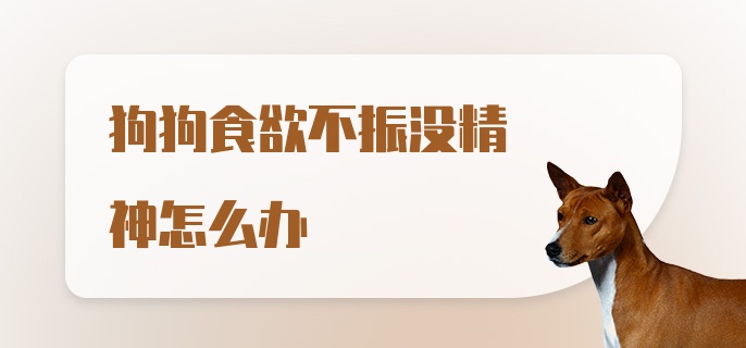 狗狗食欲不振没精神怎么办