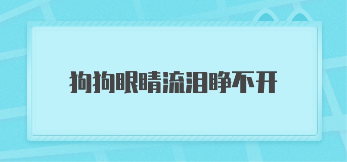 狗狗眼睛流泪睁不开