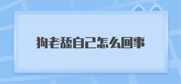 狗老舔自己怎么回事