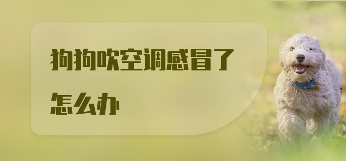 狗狗吹空调感冒了怎么办