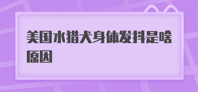 美国水猎犬身体发抖是啥原因