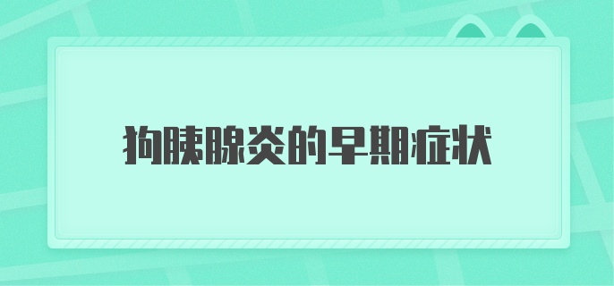 狗胰腺炎的早期症状