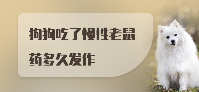 狗狗吃了慢性老鼠药多久发作